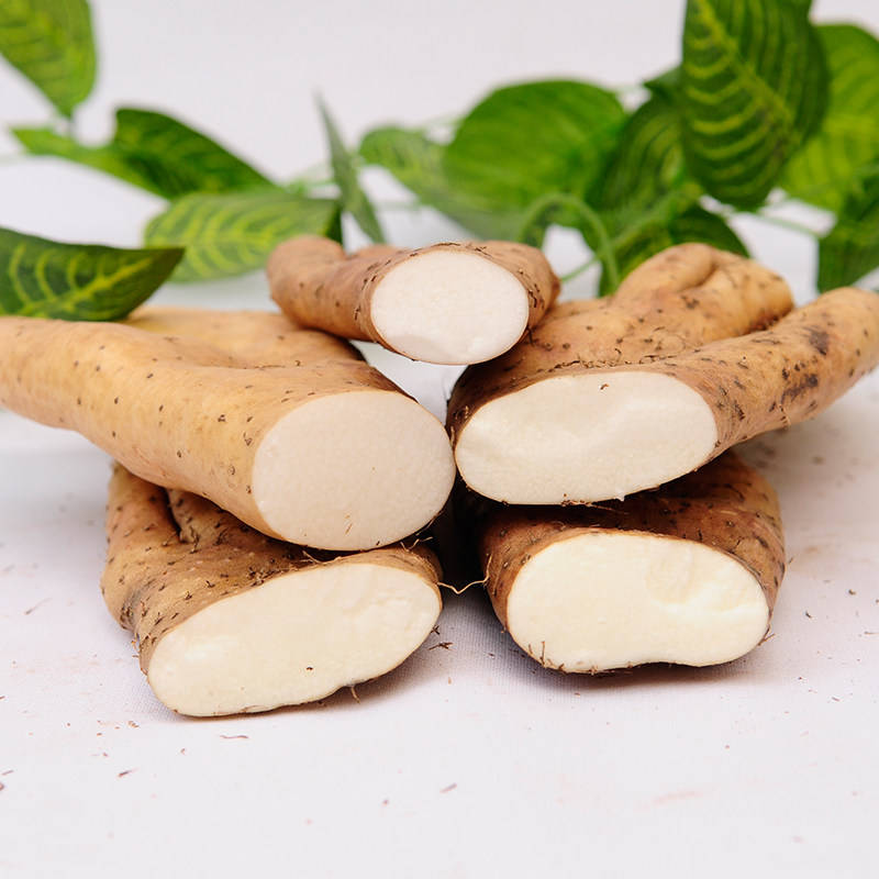 山药正宗河北大号铁棍巴掌佛手新鲜小白嘴包新鲜山药