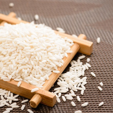 粽子东北专用包粽子香米黏米正宗糯米江米常香糯米