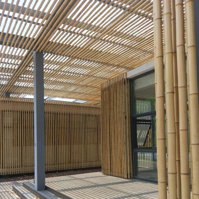 竹子竹竿装修装饰庭院室内外防腐防虫栅栏篱笆隔断大型篱笆