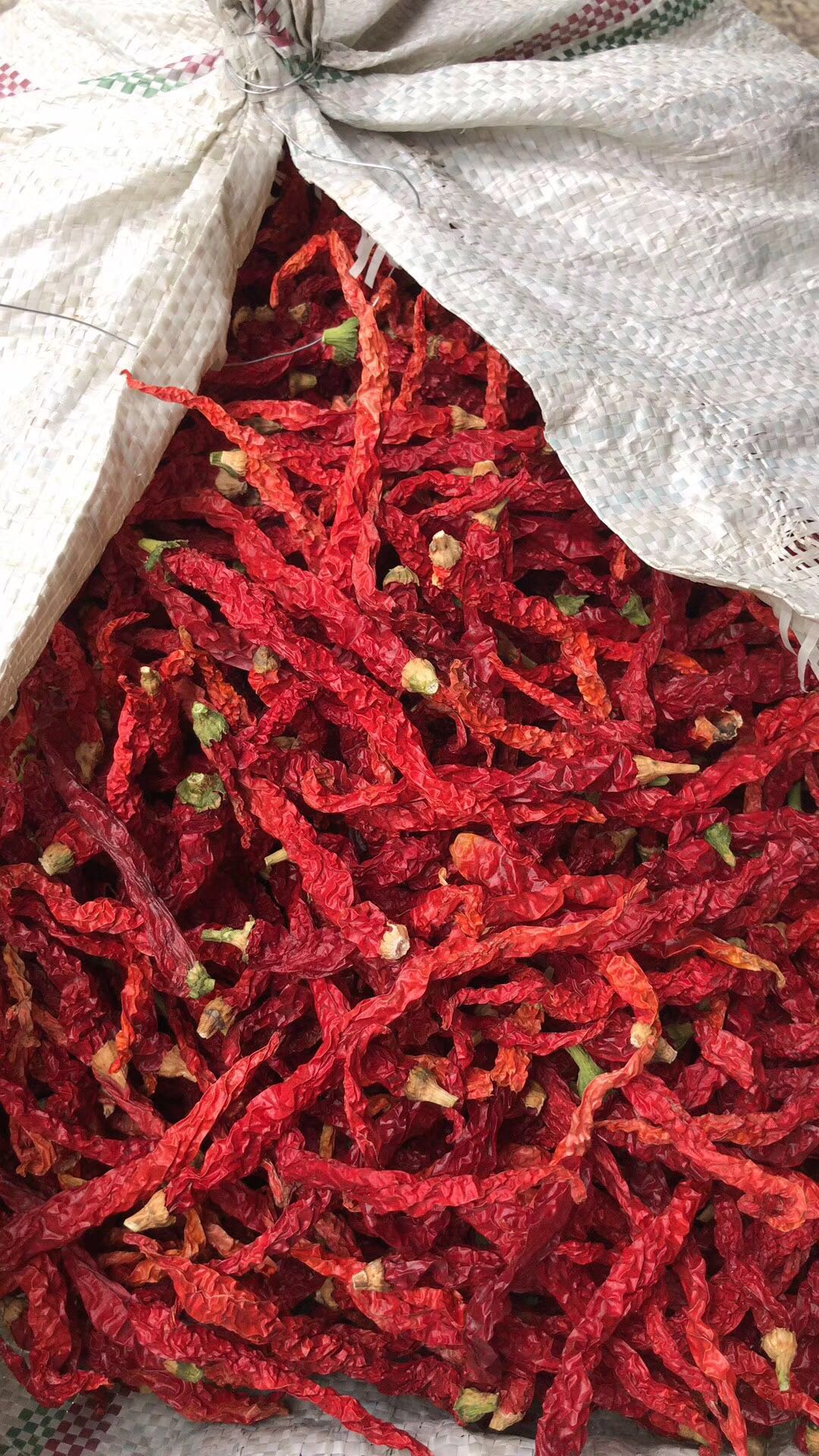 陕西秦椒线椒皱皮干辣椒500g微辣香油泼辣辣子辣椒粉料