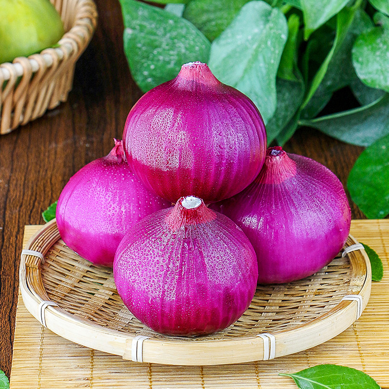 云南紫皮洋葱新鲜10斤应当当季农家自种蔬菜葱类
