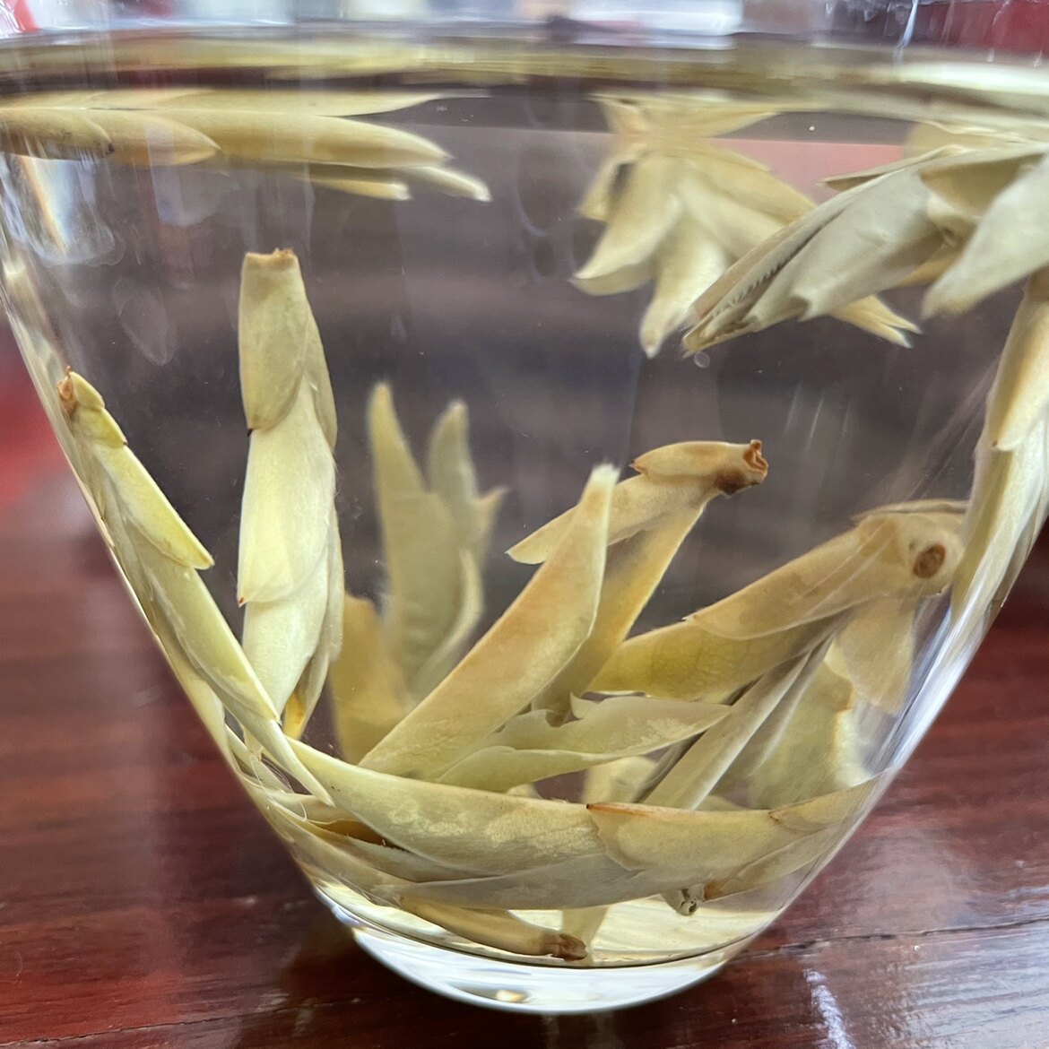 茶芽2021明前早春古树普洱茶野生孢白雀舌雀嘴普洱