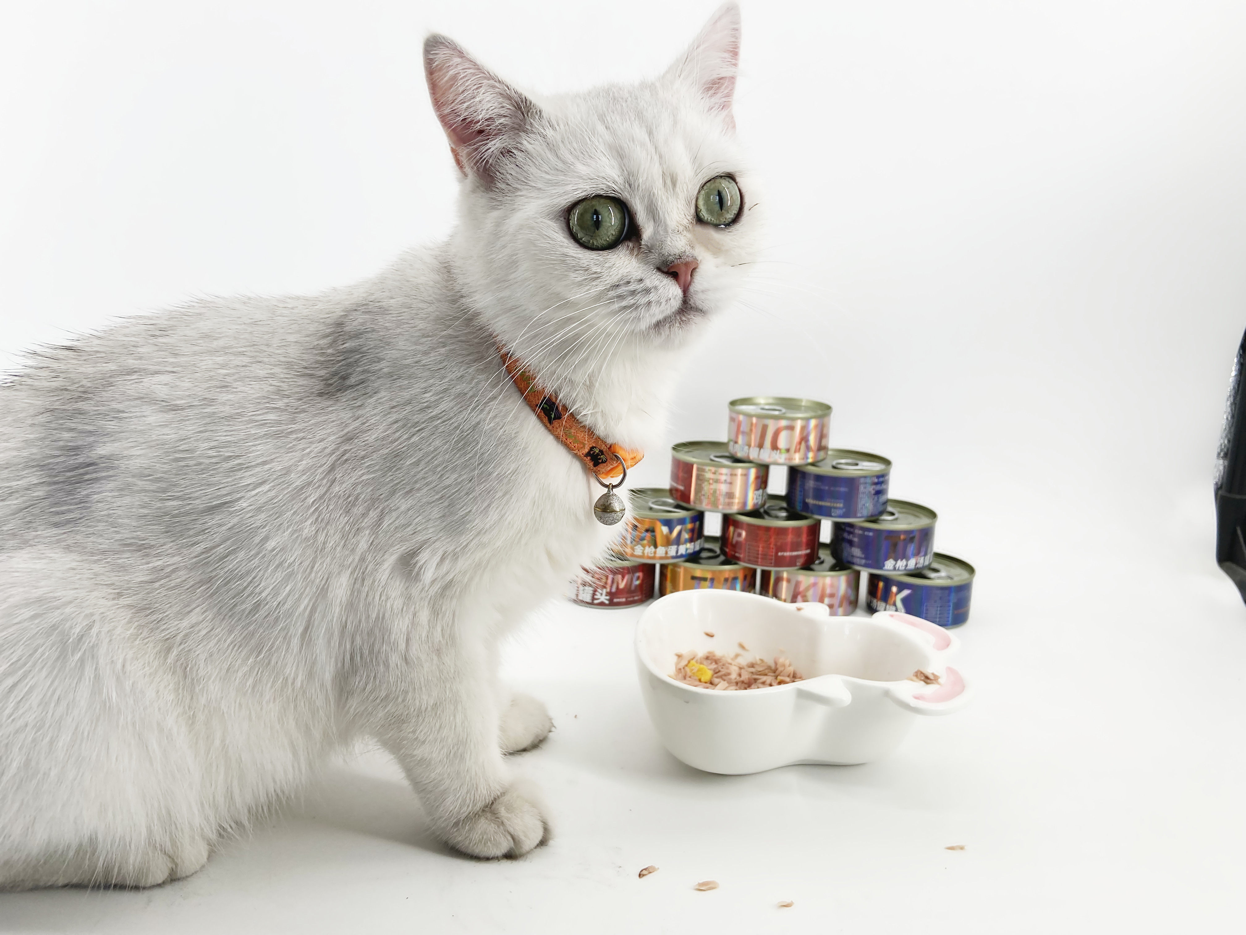 新疆包邮可扑猫零食罐头汤罐纯肉营养增肥发腮成猫零食罐