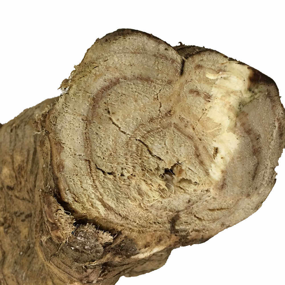 野生葛根干片新鲜切片农家深山自挖特产葛根