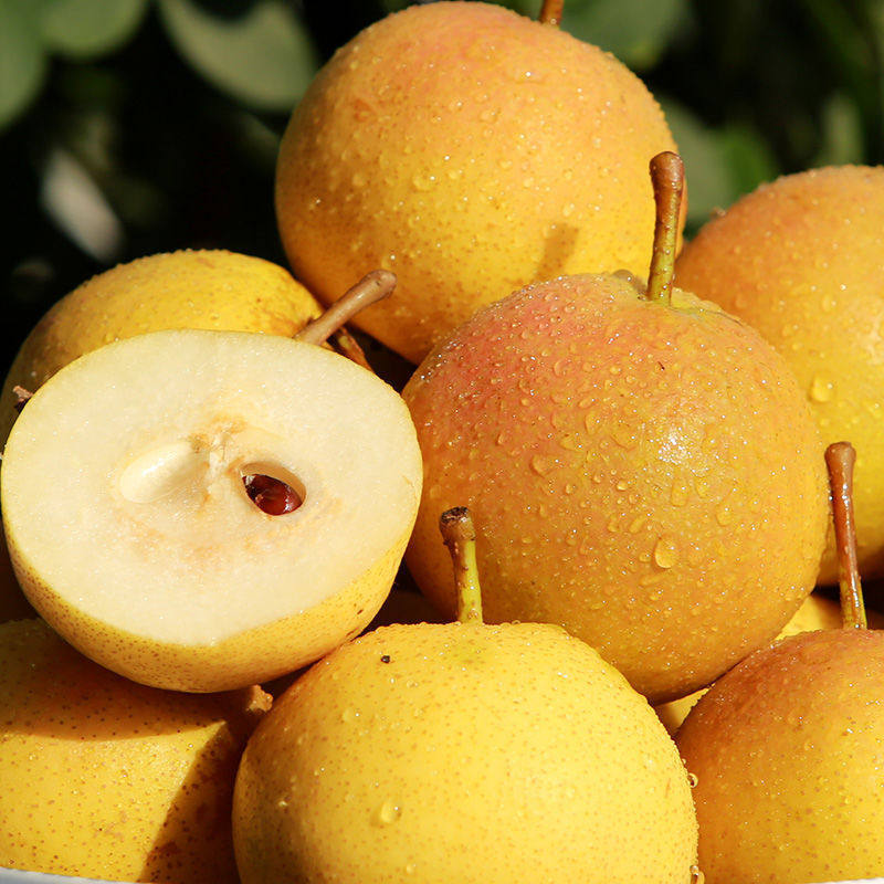 2021鞍山山南果梨10斤新鲜水果梨子东北特产梨