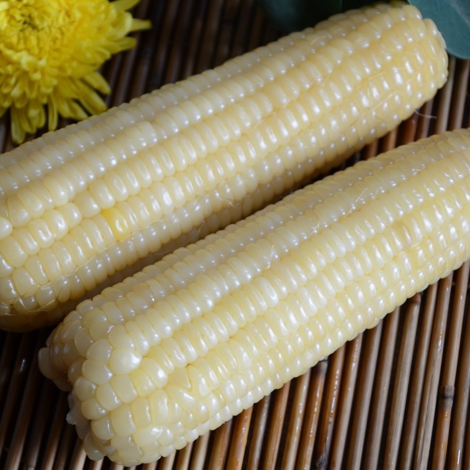 生鲜司令山西忻州白糯玉米220g加热即食转基因新鲜玉米