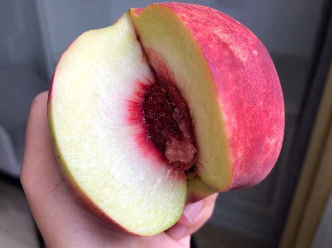 生鲜司令金秋红蜜4.5-5斤桃