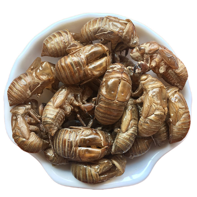 蝉蜕知了中药材50克可打金蝉衣蝉退蝉脱金婵壳其他药食同源食品