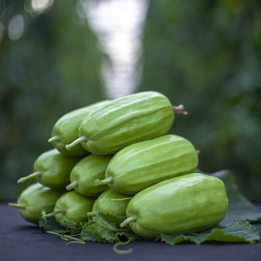 菜瓜产地黄瓜玉女梢瓜烧瓜直销新鲜糖瓜食用其它
