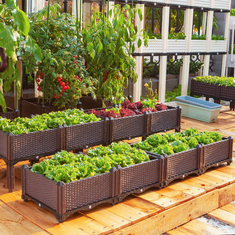 种植阳台蔬菜家庭菜园神器楼顶养花种菜长方形花盆
