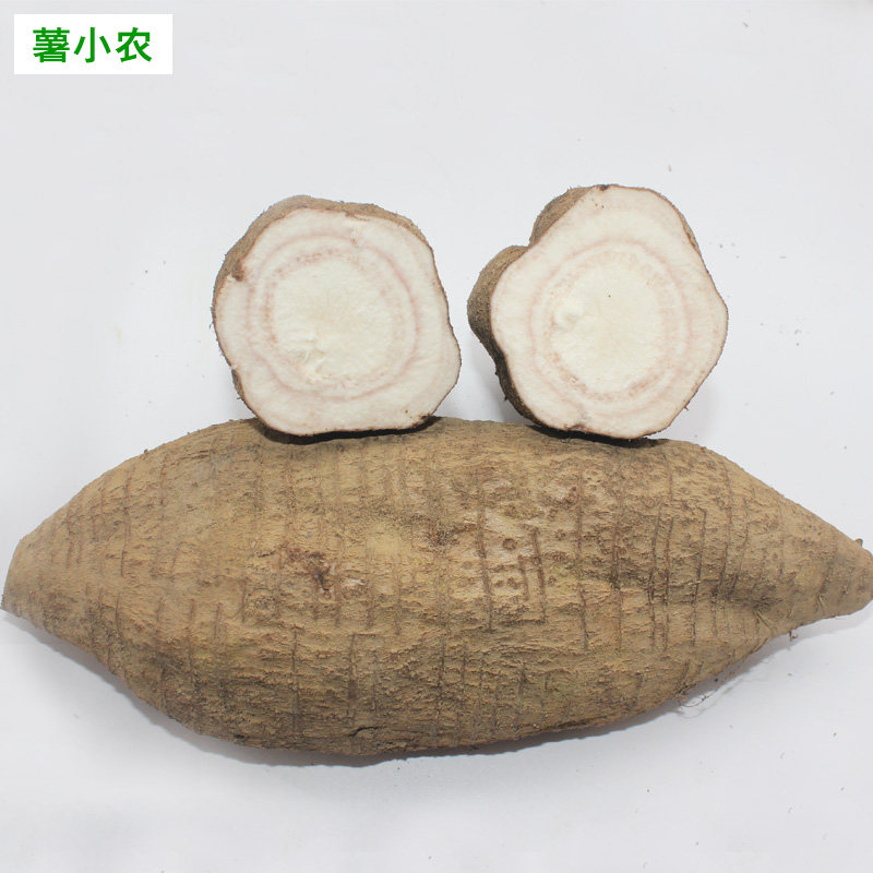 粉葛葛根新鲜黄葛广东煲汤无渣生水晶农家现挖其它