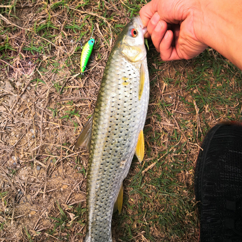 路亚鳜鱼翘嘴白条马口溪流水面米诺浮水之字活饵