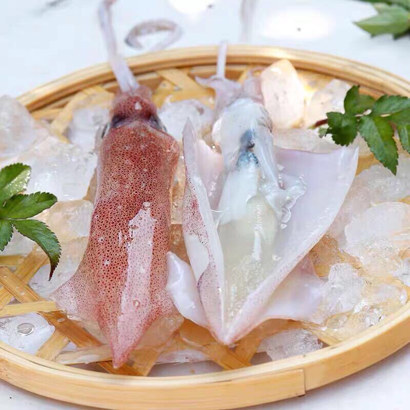 鱿鱼顺丰包邮400克x4东海小管海鲜新鲜母管其它