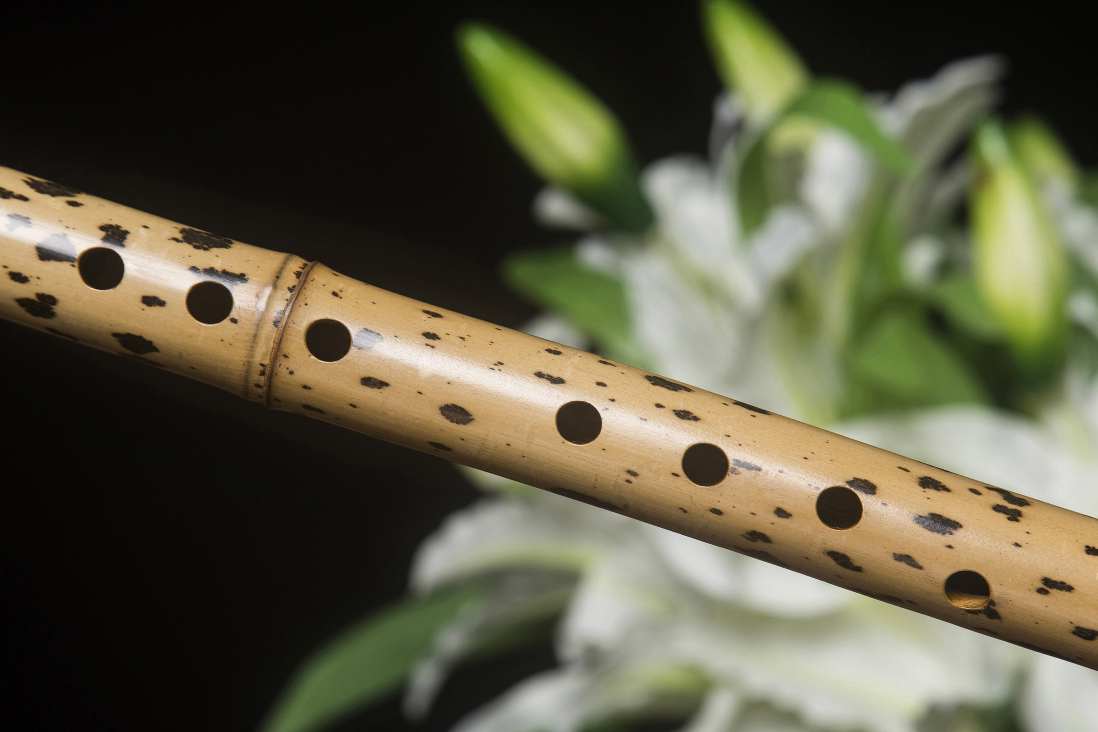 丁治国学生gfed8孔6孔特选考级演奏箫