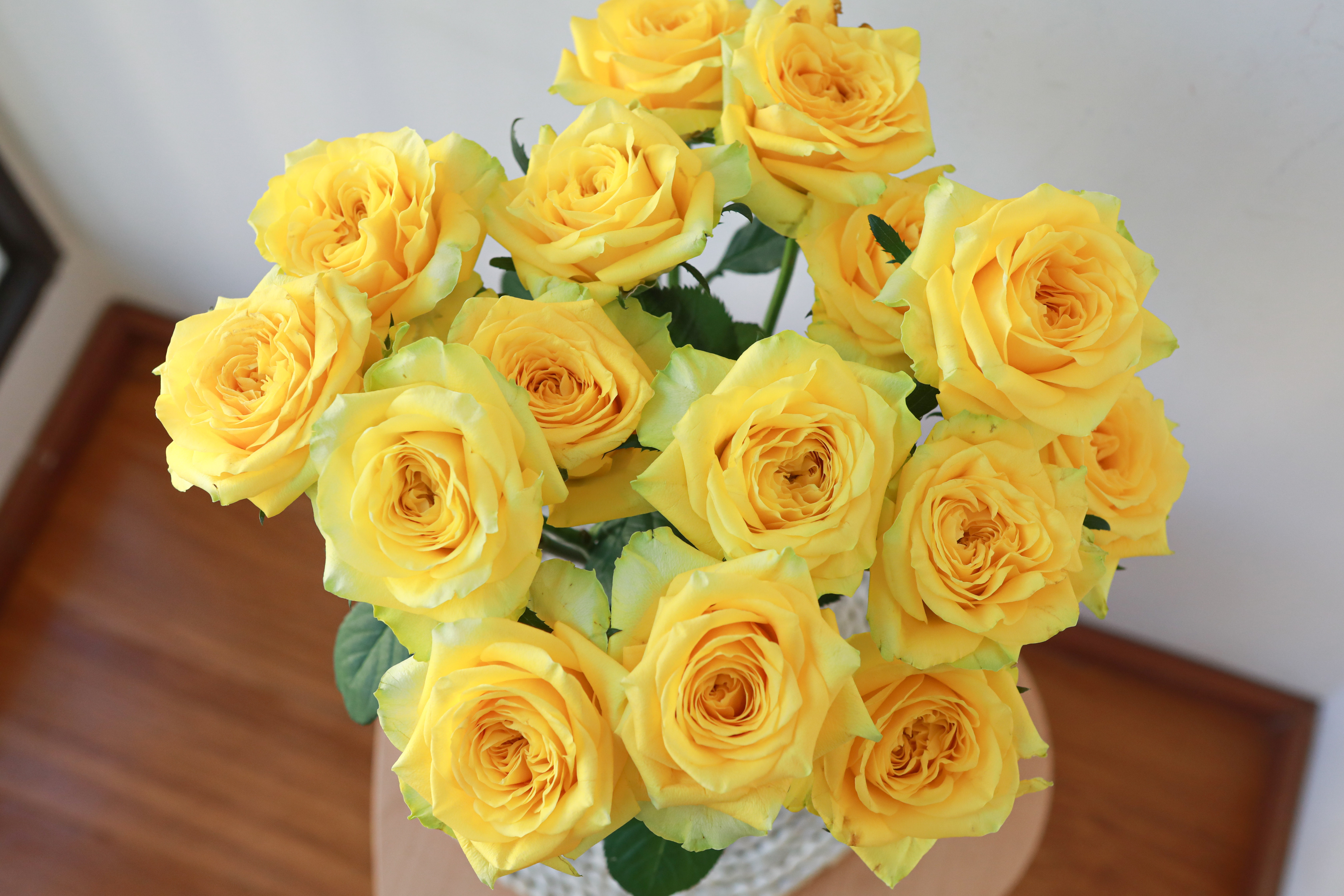 稀有单头多头玫瑰月光漫步奥斯丁花型云南基地鲜花速递(同城)