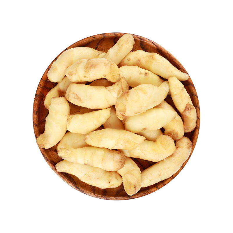 姜芽新鲜生姜姜芽新鲜姜泡姜仔姜小嫩姜牙姜红生姜