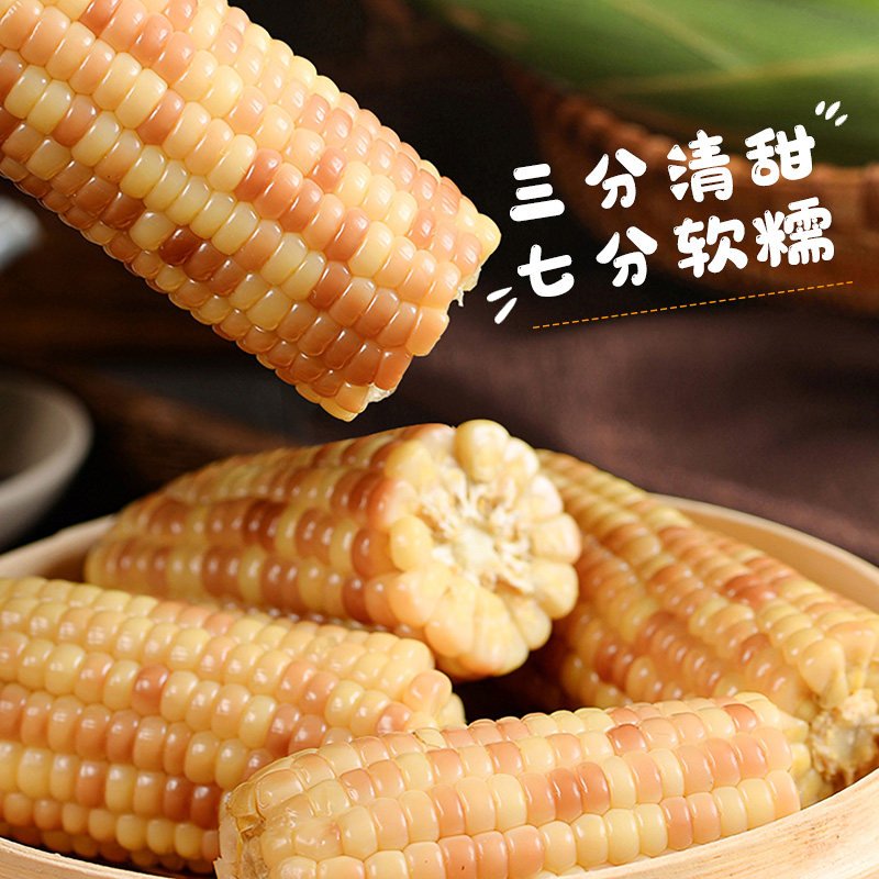 云南西双版纳香糯小玉米玉米棒新鲜真空免煮即食熟黏玉米