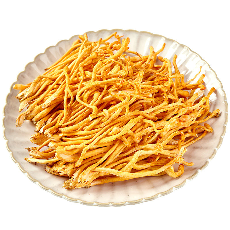 虫草新鲜云南菌菇营养蘑菇美味食用菌煲汤食材新鲜松茸