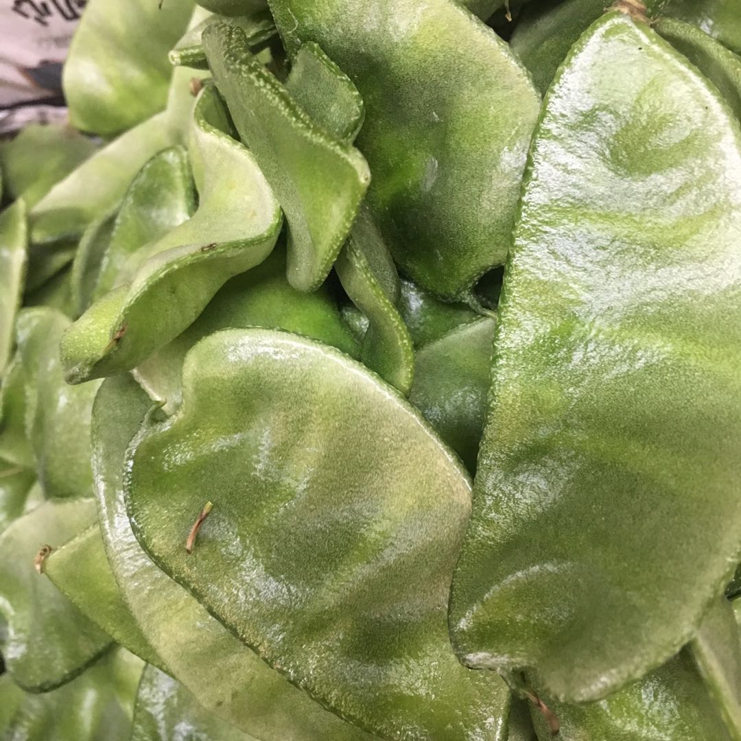 远东春生生鲜新鲜蔬菜眉豆扁豆一斤京津冀68包邮其它