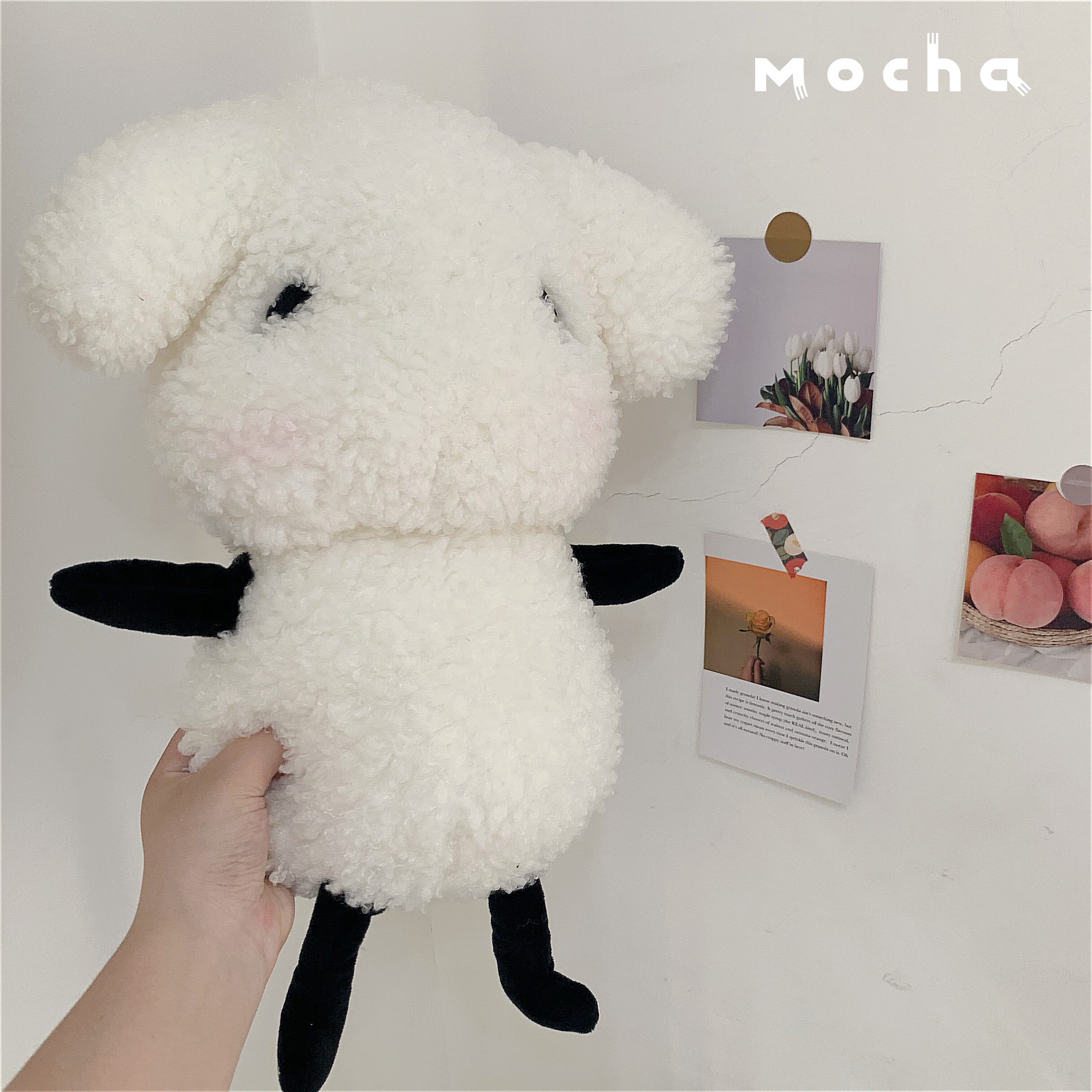 tfboys玩偶易烊千玺生日生日会会同一只羊公仔毛绒玩具毛绒布艺类玩具