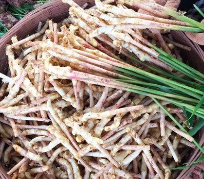 新鲜四川农家生嫩姜新鲜生姜嫩仔姜脆嫩带箱3斤生姜