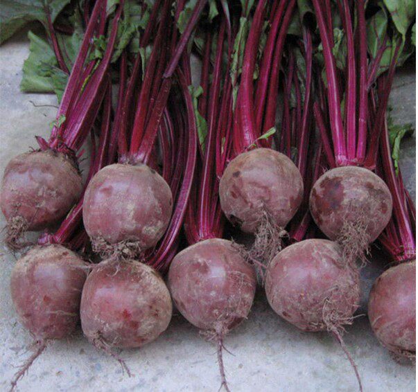 贵州紫皮洋葱2500净重红葱头洋葱头农家紫皮圆葱时令蔬菜包邮