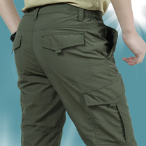Camel Men Pants Winter Plus Suede Thickening Speed Dry Pants Men Loose Straight Drum Pants Outdoor Climbing Pants Windproof Vanguard