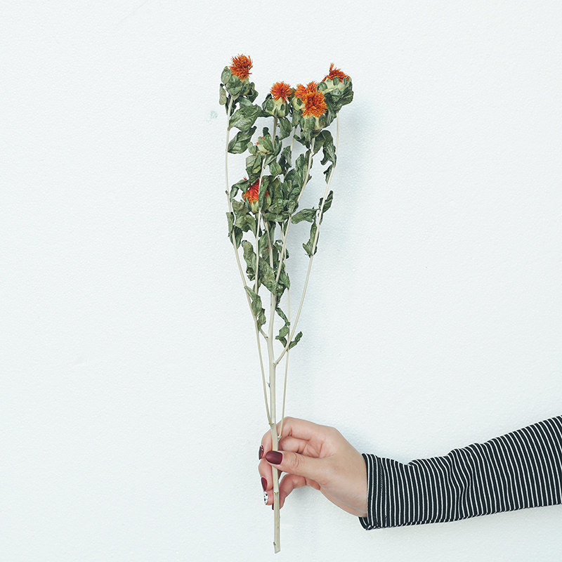 菠萝鲜花自然自然风风干干花小清新客厅卧室家居装饰干花