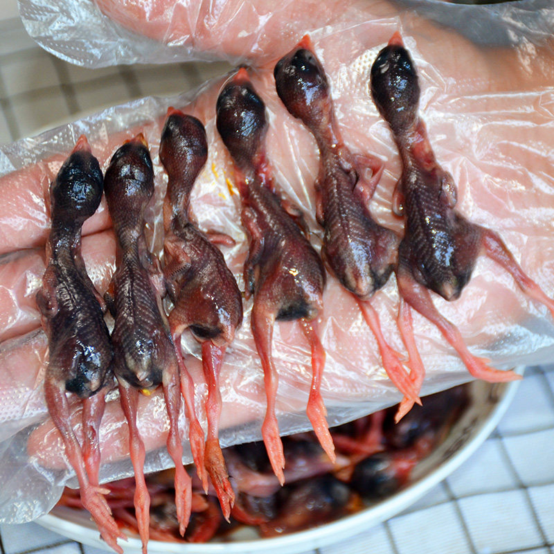 鹌鹑4斤新鲜幼仔雏乳宠物幼犬猫粮零食猫咪其它