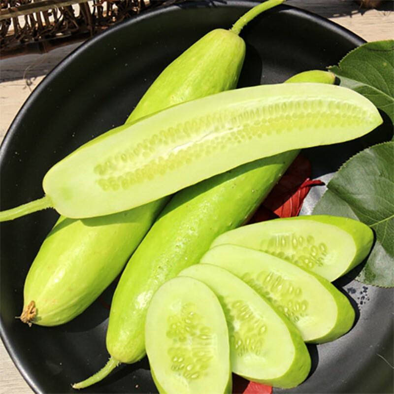 黄瓜翡翠迷你水果种子白玉种籽无刺小黄瓜蔬菜蔬菜种子