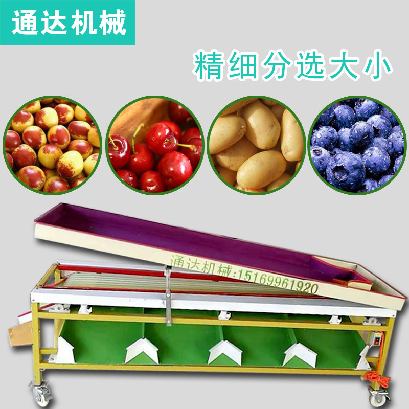 选果机分级机新款水果筛选选机果蔬分离设备厂家直销分离设备
