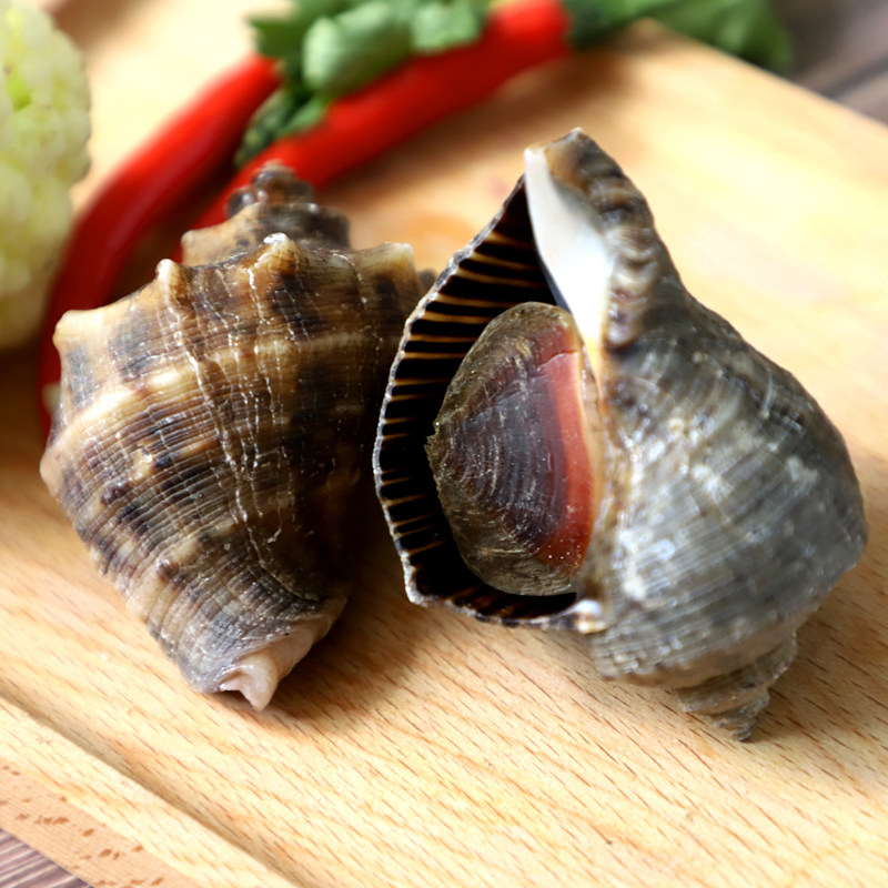 海螺舟山鲜活海鲜现捕大海新鲜生猛海鲜水产螺肉贝类制品