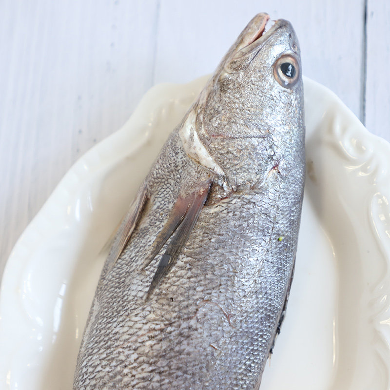 舟山野生米鱼东海新鲜鮸鱼鲜活水产石浦海鱼其它