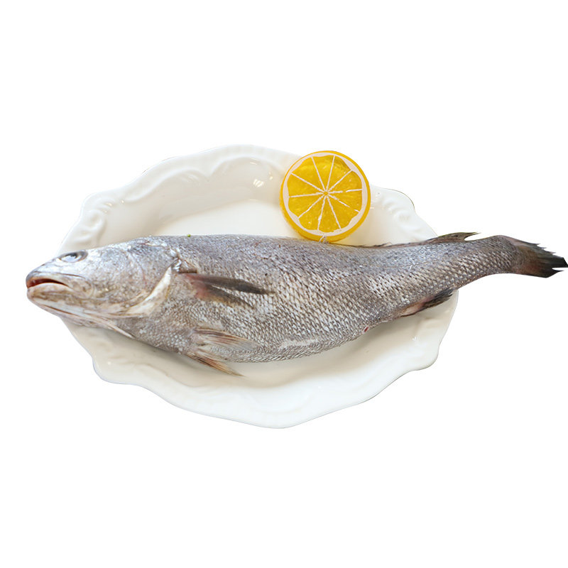 野生米鱼东海舟山新鲜鮸鱼鲜活水产石浦海鱼其它