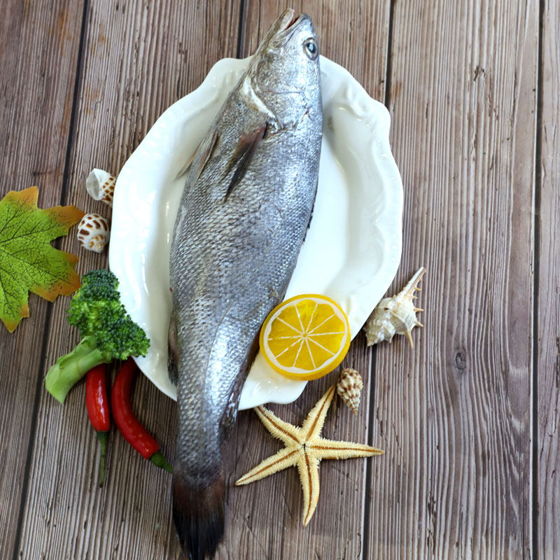 舟山野生米鱼东海新鲜鮸鱼鲜活水产石浦海鱼其它