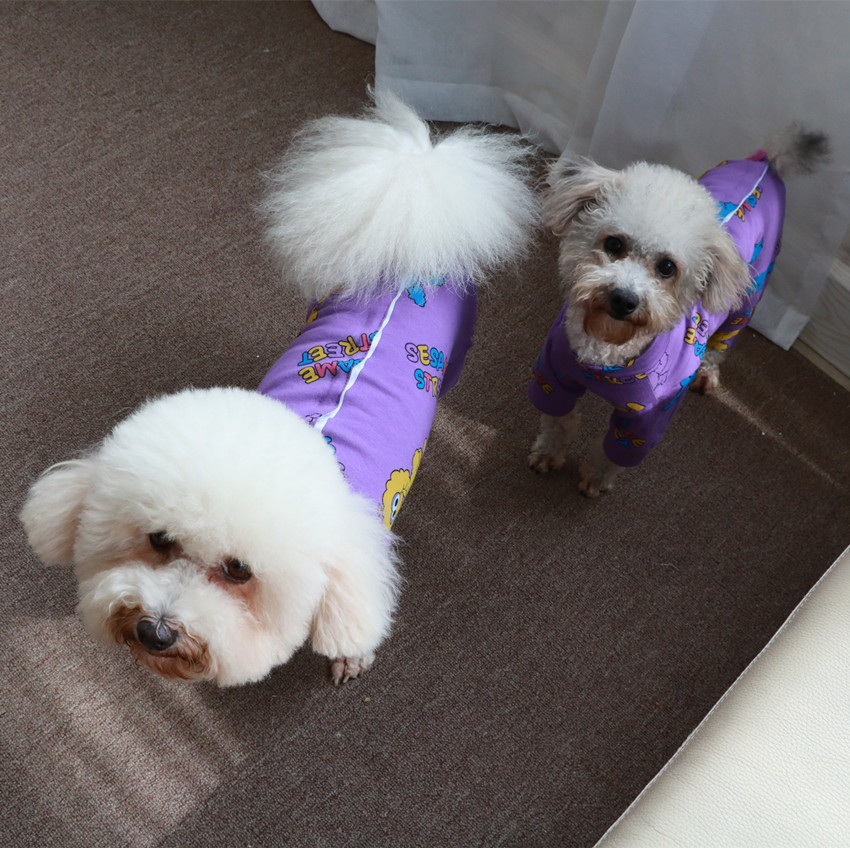 连体衣打底短腿博美熊博美迪比泰迪衣服包邮连体狗宠物服装