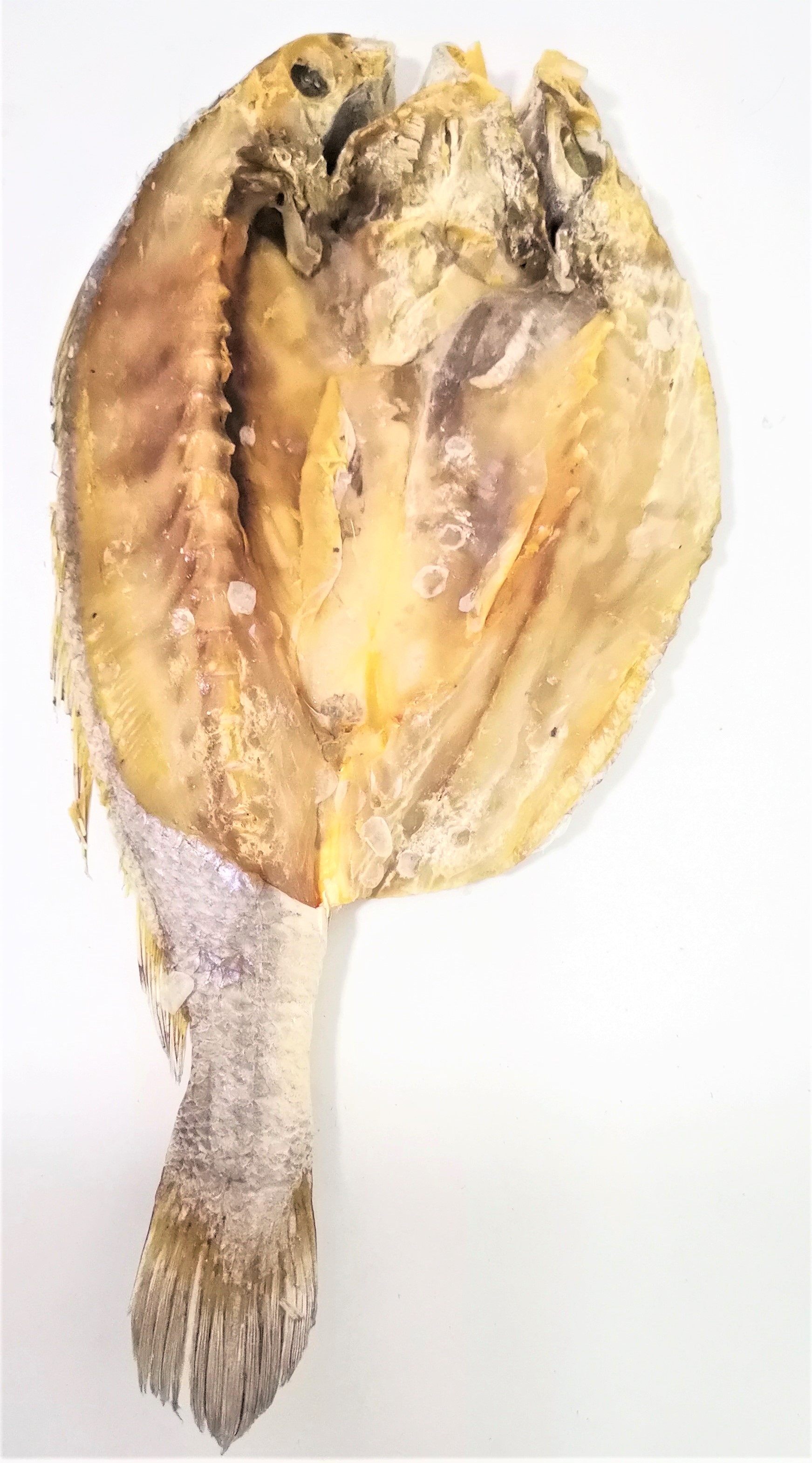 黄鱼新鲜货黄花鱼500g干自咸鱼干货干大海鲜咸白鱼干