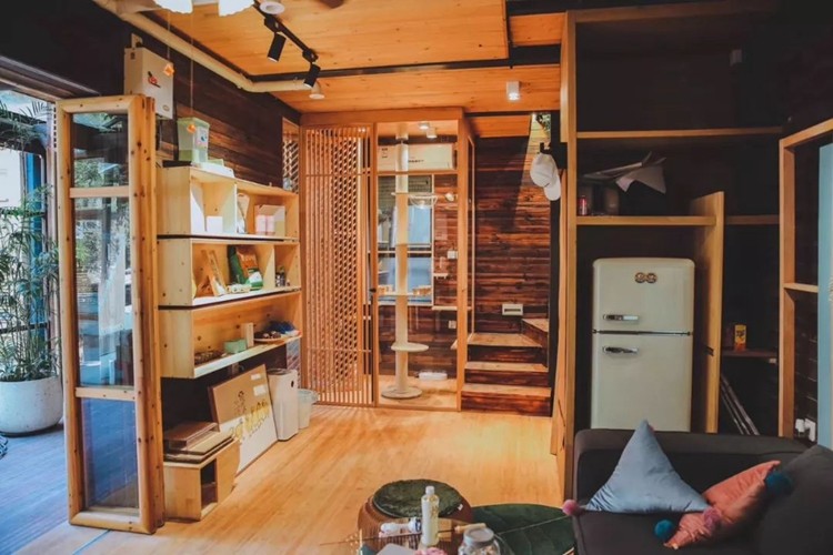 宠物店猫笼子展示柜实木多层超大自由空间猫窝别墅猫舍猫咖可定制