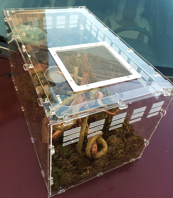 亚克力爬虫箱蛇箱绿鬣爬宠箱饲养大号蛇箱超大型爬箱爬虫