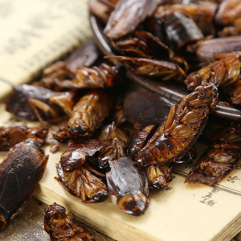 蟑螂小强黄嚓油婆娘黄婆娘偷油太医野生药用500g其他药食同源食品