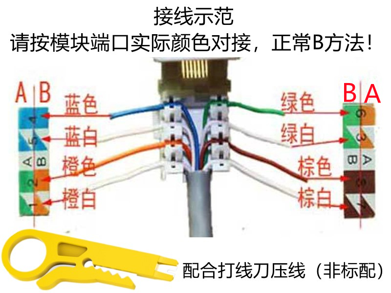 abb网线插座接法图解图片