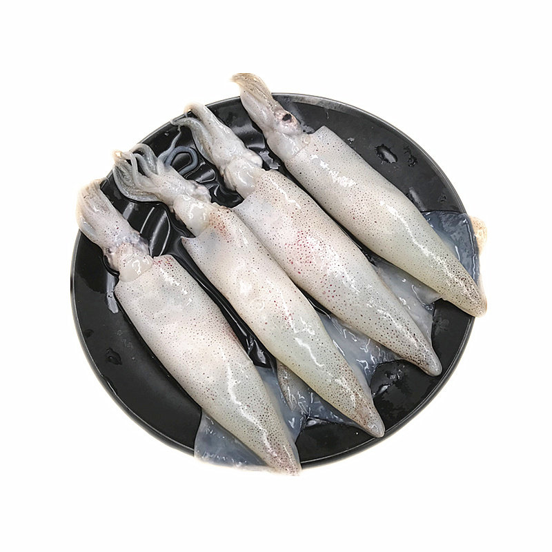 海兔子鲜活冷冻小鱿鱼笔管鱼新鲜无籽乌贼墨鱼仔500g海鲜水产包邮