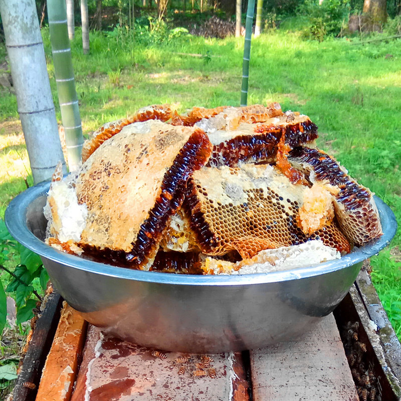 蜂巢蜜野生纯正蜜巢天然农家自产成熟土蜂蜜嚼着吃老巢蜜500g