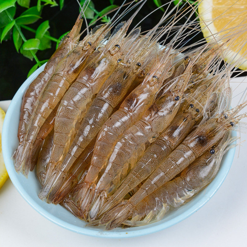 青岛海捕小明虾鲜活速冻新鲜海虾冷冻明虾海鲜水产250g