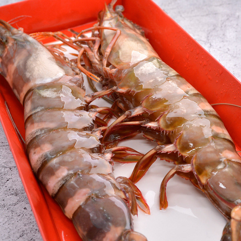 虎虾新鲜海巨大鲜活冷冻超大老虎虾黑礼盒2只冻虾