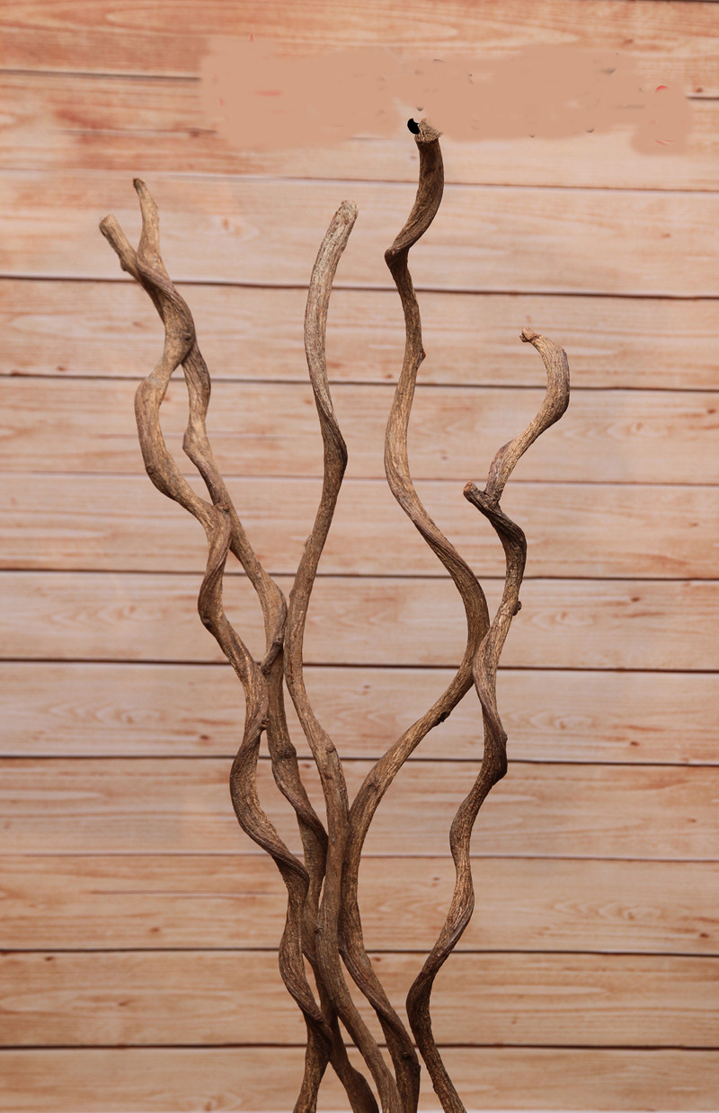 花藤藤条过江龙腾干花树藤干枝装饰假花仿真仿真花