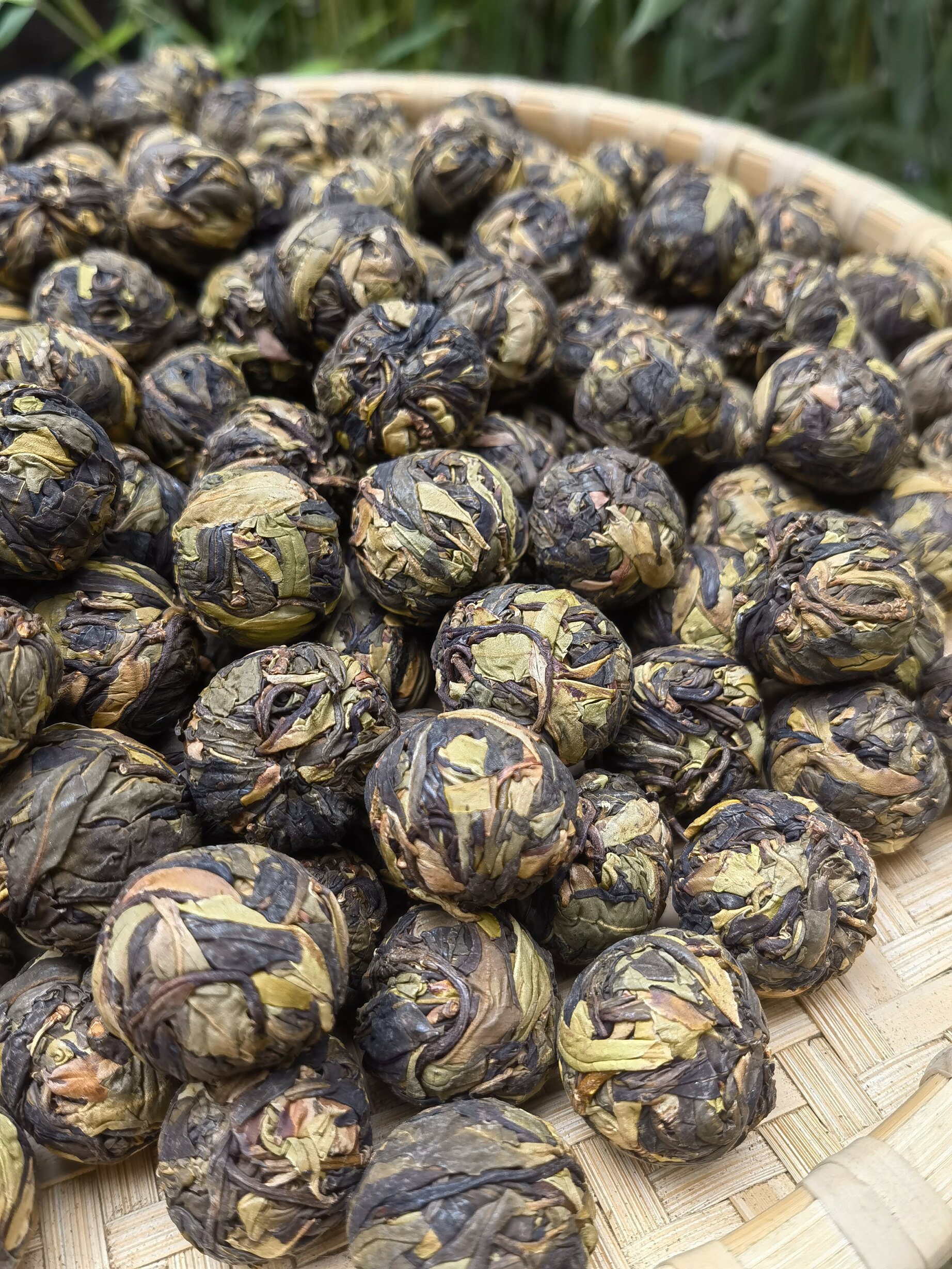 野生云南白茶永德德大雪山古树白茶小龙珠250克特色产区白茶