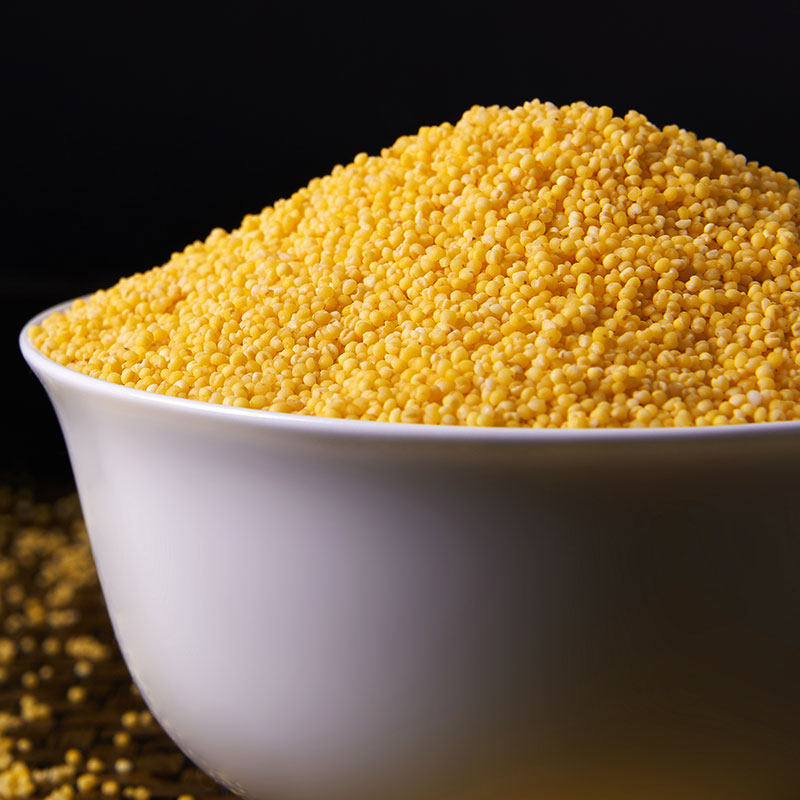 黄小米粥小黄米新新米450g东北朝阳建平杂粮小米