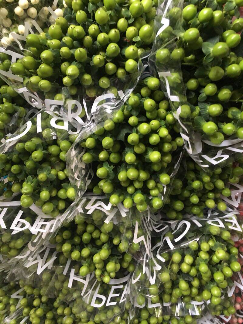 云南豆白冬青国产绿豆豆绿豆粉昆明红豆地直鲜花速递同城