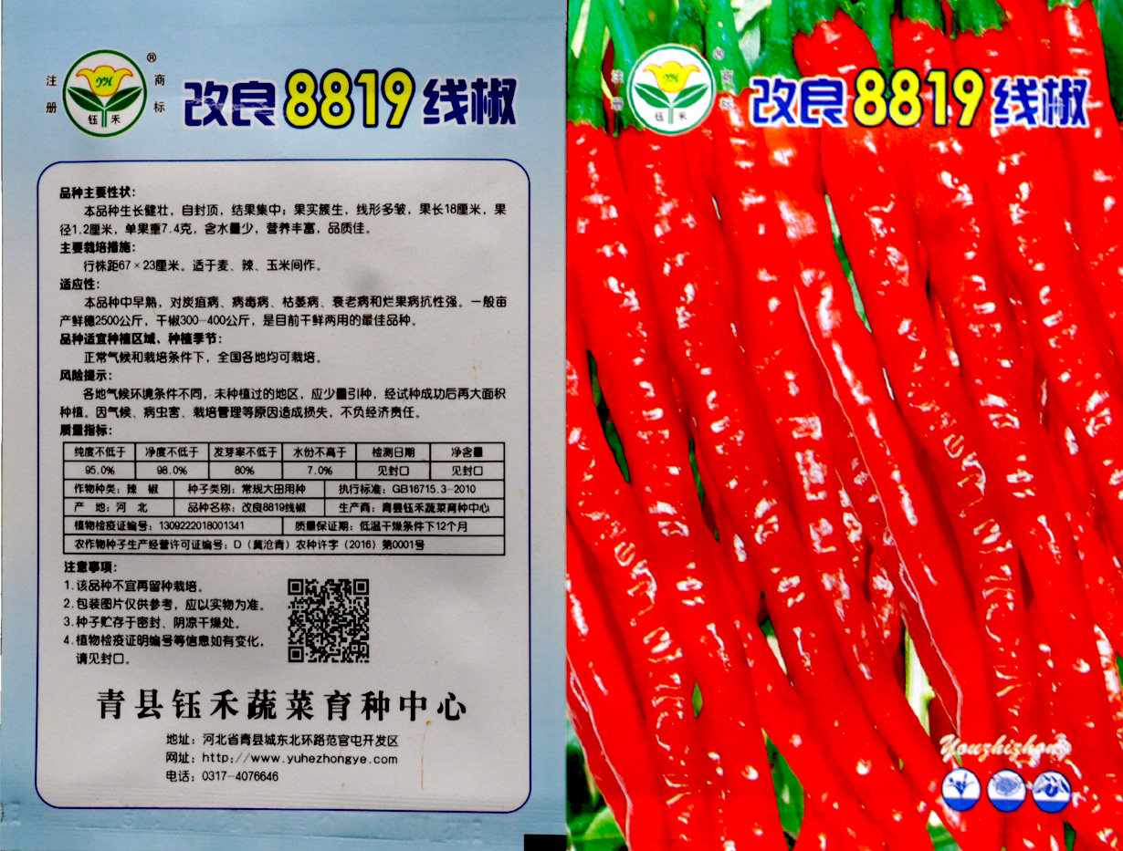 农乐种业 改良8819线椒种子种籽 长辣椒种籽 青红两用 味香辣高产_双